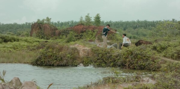 С���Ƿּ��������